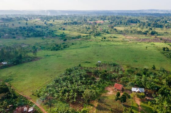 Namasumbi Land Listing