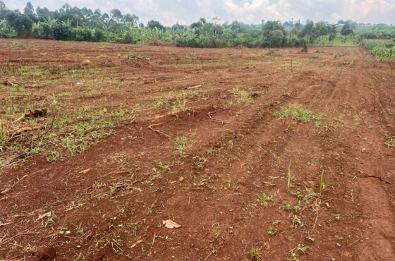 Nakwero Land Listing