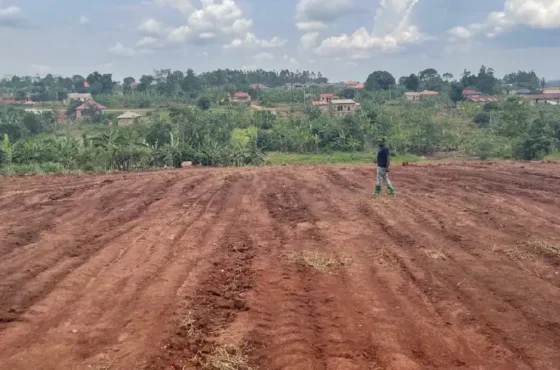 Kiwologoma Land Listing