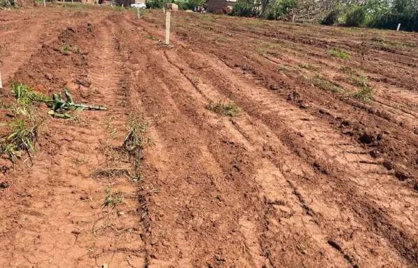 bulindo-new-land-01