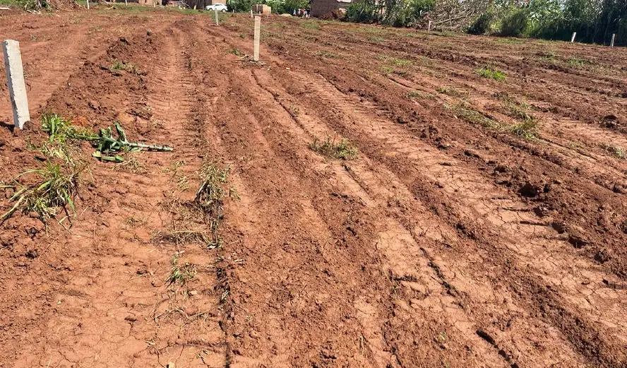 bulindo-new-land-01