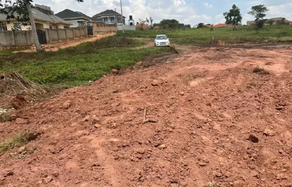 kimwanyi-land-01