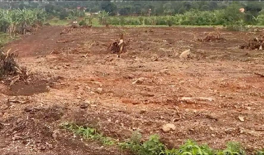 Muringi-Omus Nakasajja-2-14