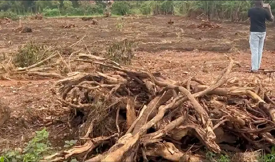 Muringi-Omus Nakasajja-3-14