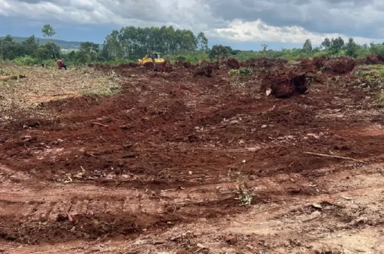 Kiumu Land Listing