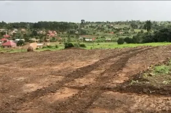 Kiumu–Nakasajja Hilltop Land Listing