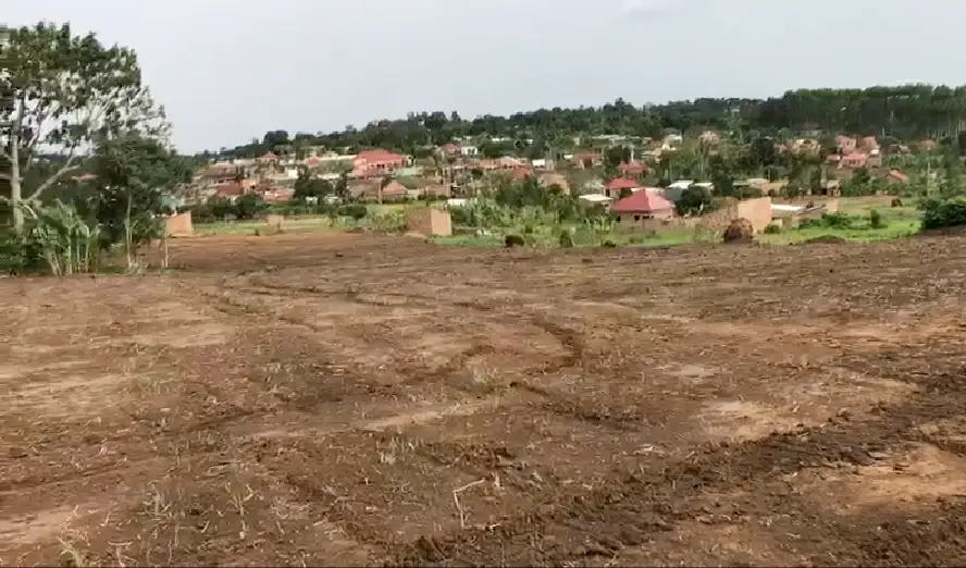 kuimu-nakasajja-2-14-14