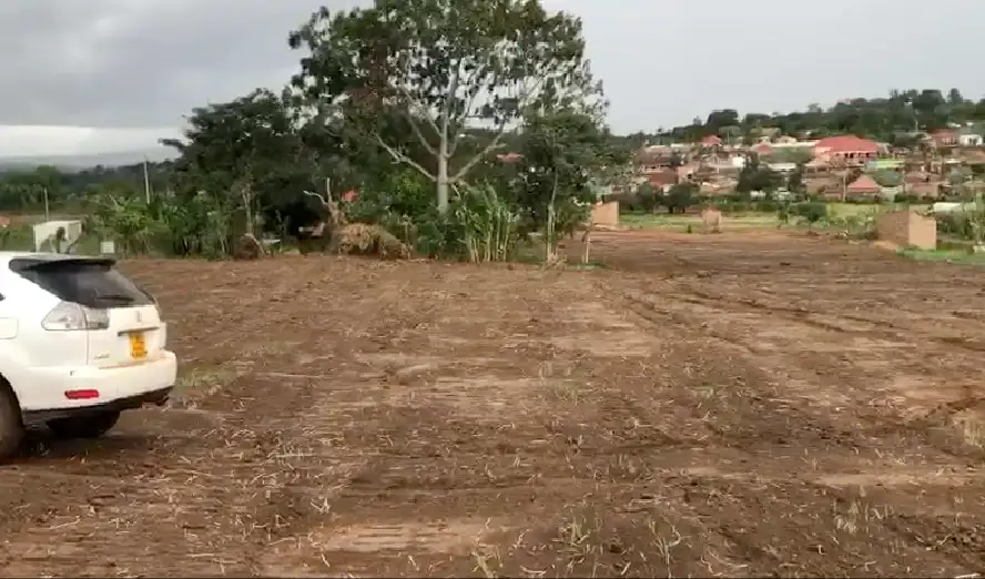 kuimu-nakasajja-3-14