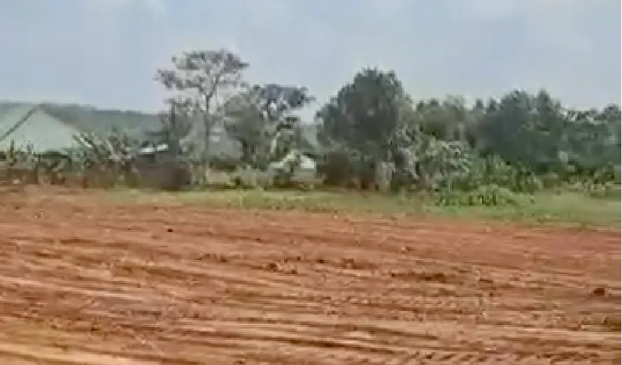 kira kijabijo – mar 5-v2