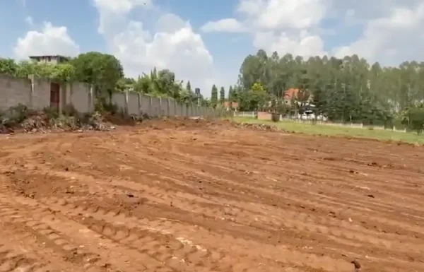 kitukutwe-1