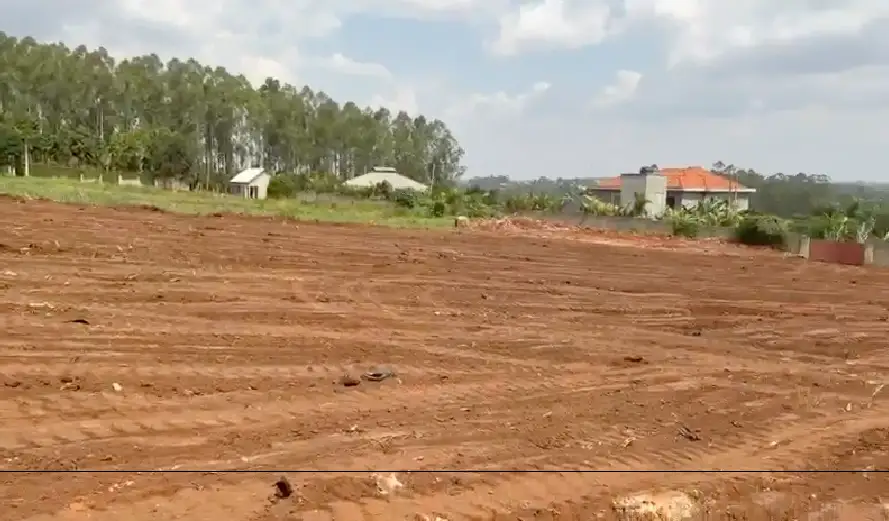 kitukutwe-2